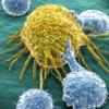 malaghan 2 cancer immunotherapy cells