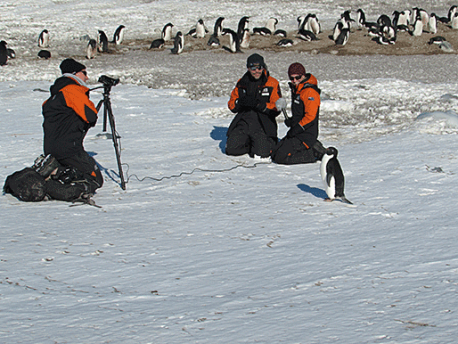 learnz antarctica