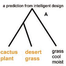 evolution fig 4 a