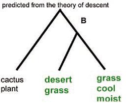 evolution fig 4 b