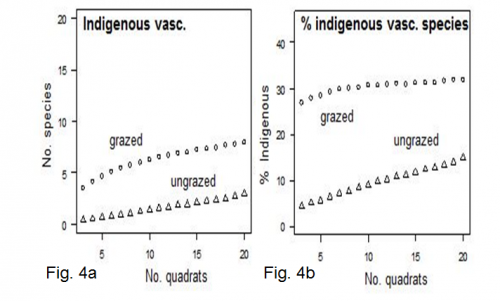 graph 3