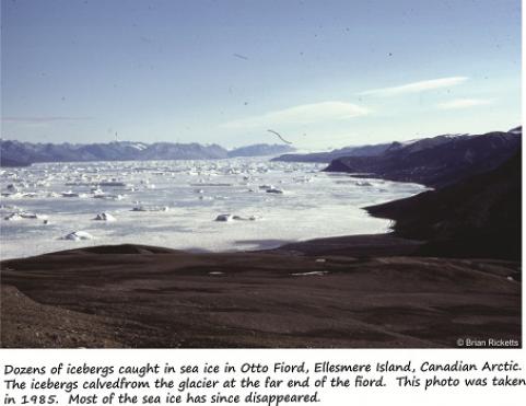 icebergs Otto Fiord small