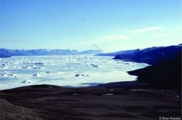 icebergs Otto Fiord cropped