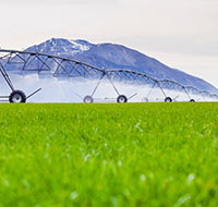 irrigation grass mountains 200 190